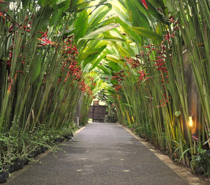 Kubudiuma Villas Bali Canggu  Exterior photo